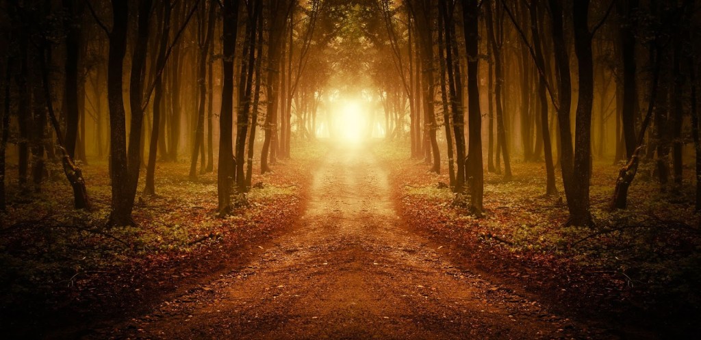 The Bigger Picture….