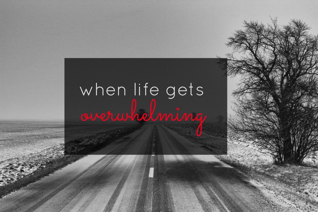 What/Where In The World? Pick&nbsp;One!